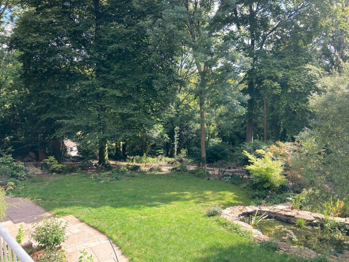 Woodland Views Bed & Breakfast