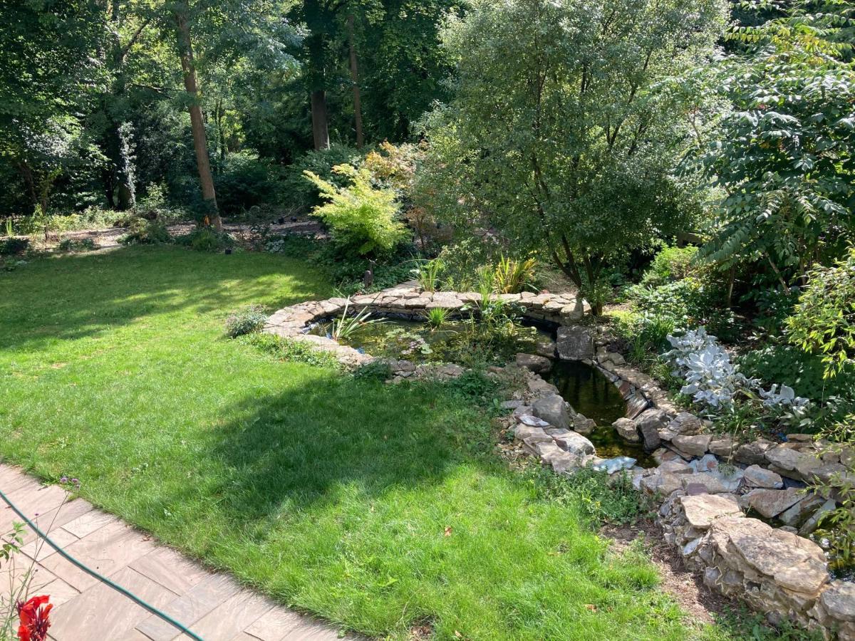 Woodland Views Bed & Breakfast