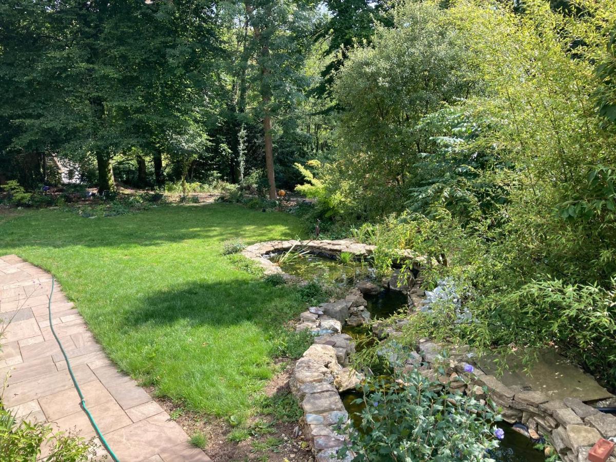 Woodland Views Bed & Breakfast Milton Abbas